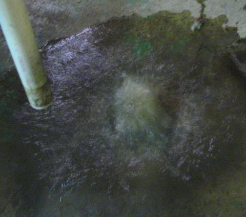 Floor drain without standpipe plug